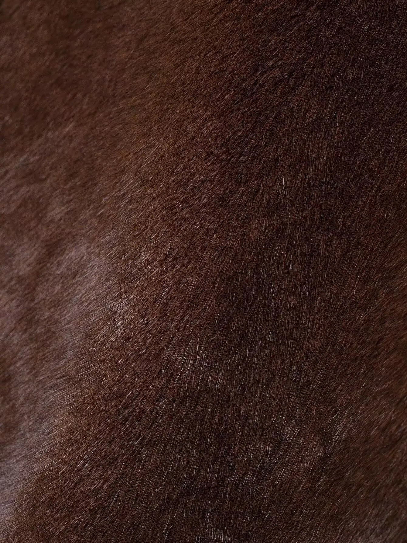 casaco , jaqueta , jaquetafeminina , casacodepelo , coleçãoinverno
